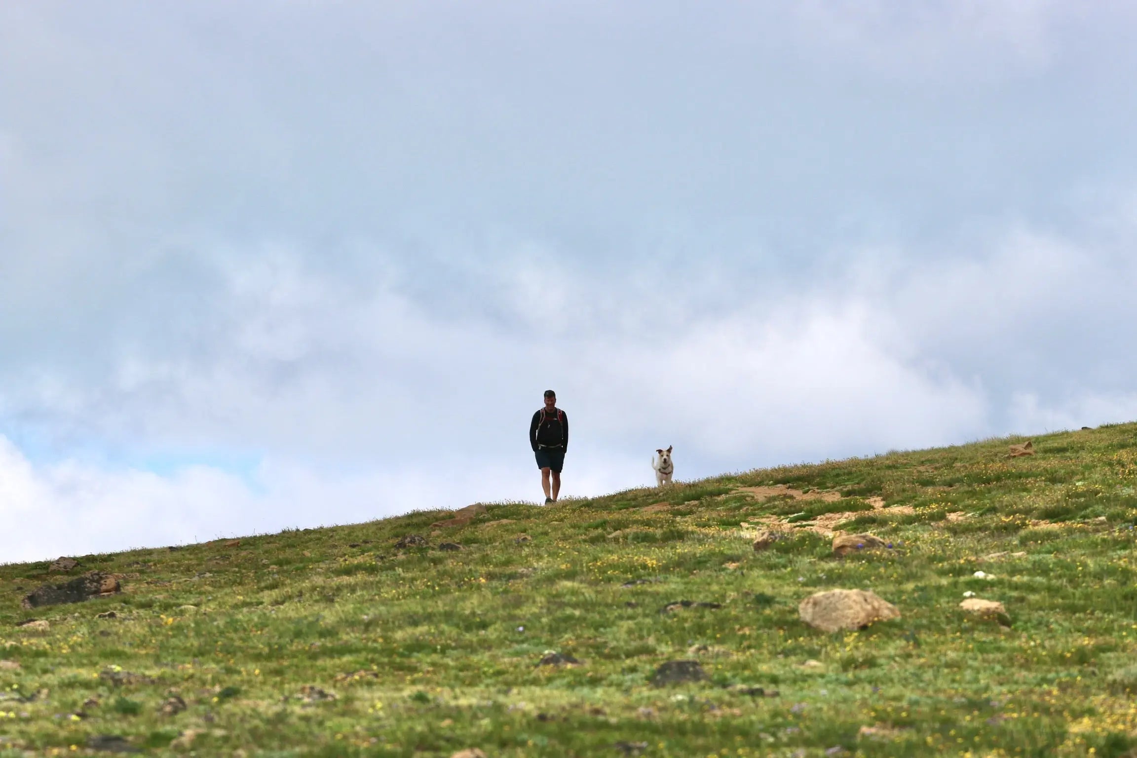 Mountain-LifeStyle Toppickes